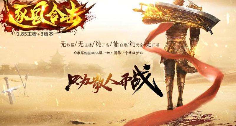 《无英雄传奇私服攻略：升级、装备、组队挑战BOSS》