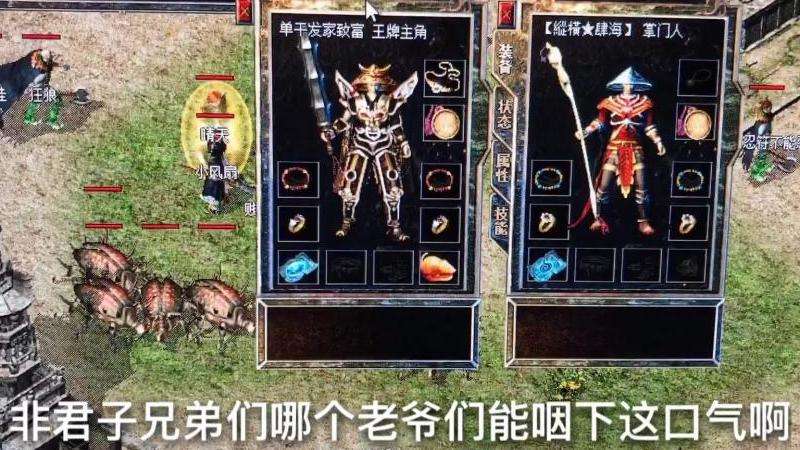 "传奇金币私服发布网攻略大揭秘"