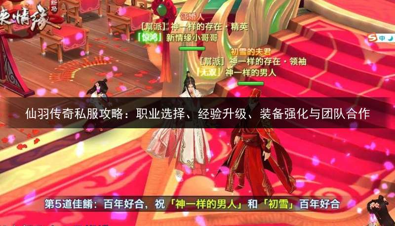 仙羽传奇私服攻略：职业选择、经验升级、装备强化与团队合作